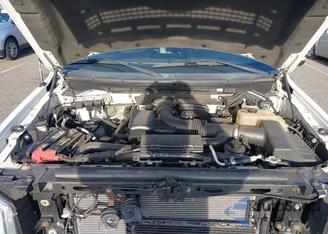 2010 Ford F-150 Fx4/Harley-Davidson/King Ranch/Lariat/Platinum/Xl/Xlt from USA, damaged, VIN 1FTFW1EV9AFB34605